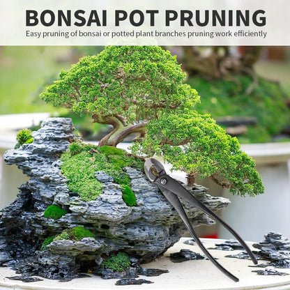 Kit de poda para Bonsai